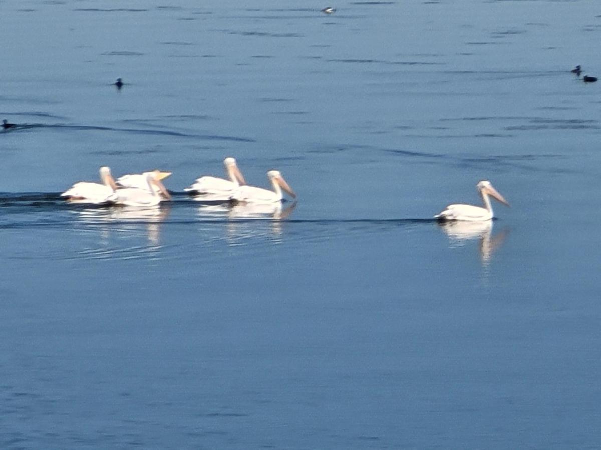 Lake Front Resort Lakeport Esterno foto